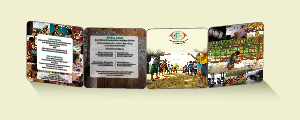 Brochure per Associazione ARTECA Onlus